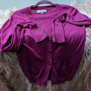 Ann Taylor Fushia Small button up cardigan